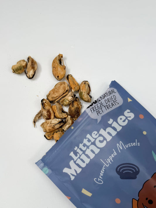 Freeze dried green-lipped mussels 40g