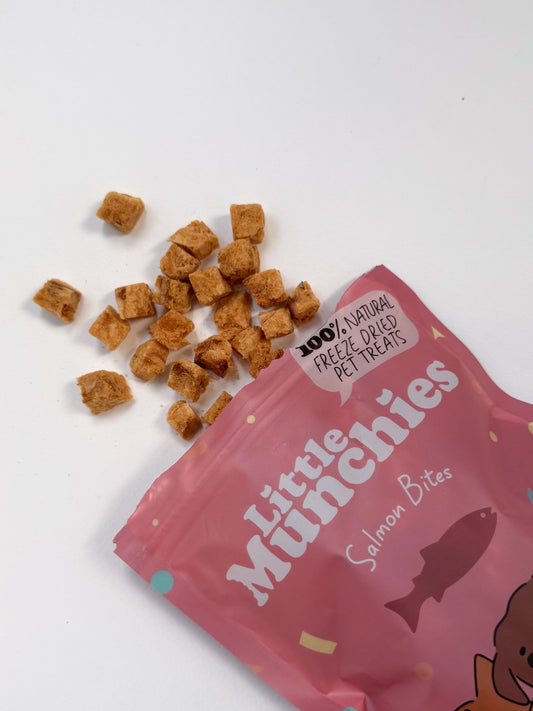 Freeze dried salmon bites 50g