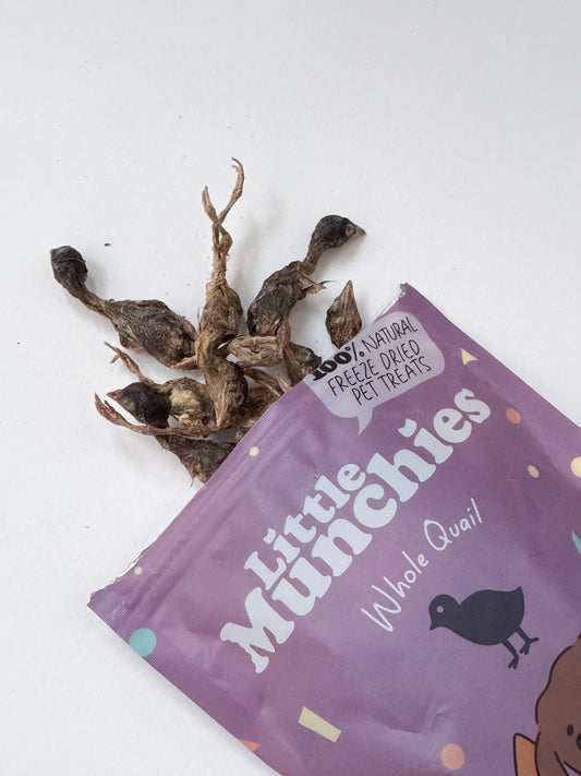 Freeze dried whole quail 40g