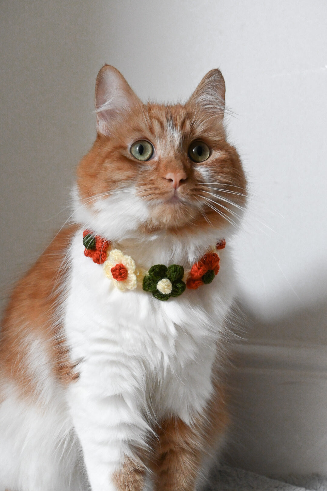 •Pet Crochet Collar - Fall-ing Flowers🌼